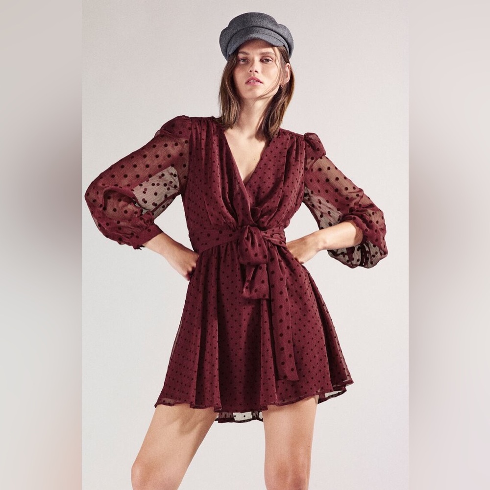 Zara Dotted Mesh Mini Dress Maroon Size Small